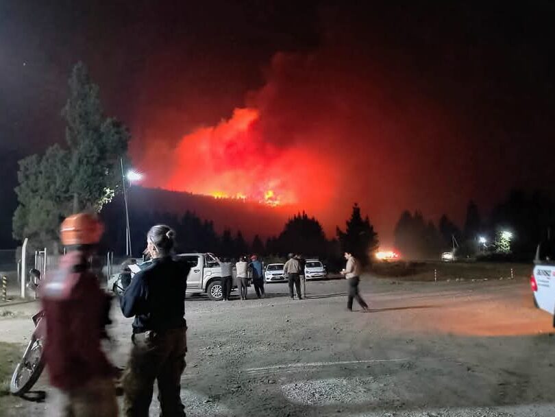 WhatsApp Image 2025-01-31 at 00.10.40